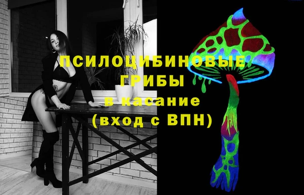 каннабис Богородицк