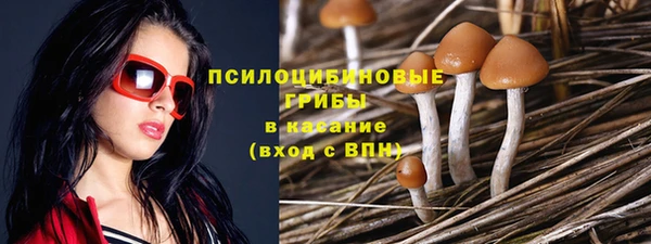 экстази Богданович