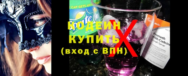 индика Беломорск