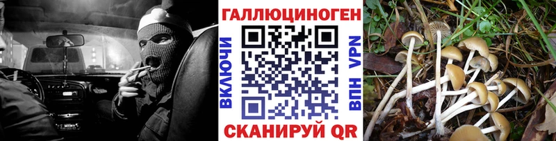 Галлюциногенные грибы GOLDEN TEACHER  Гай 